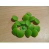 Gomb 1,2 cm füles zöld