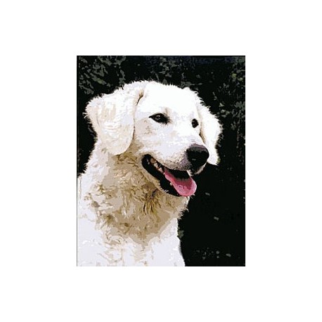 Gobelin 25x20 cm Sz:599 Kuvasz