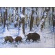 Gobelin 30x40 cm 081 Szarvas P. -Téli erdőn