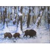 Gobelin 30x40 cm 081 Szarvas P. -Téli erdőn