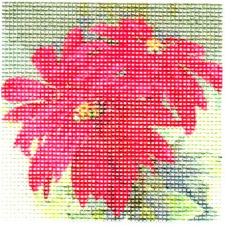 Gobelin 7x7 cm Sz:615 Mikulásvirág