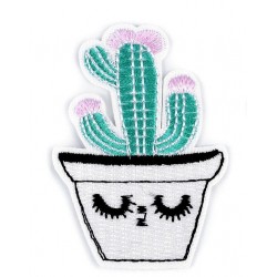 Vasalható folt kaktusz fehér kaspóban