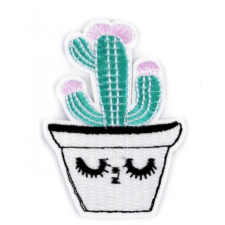 Vasalható folt kaktusz fehér kaspóban