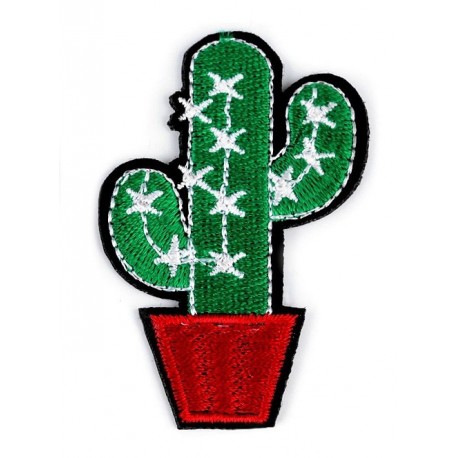 Vasalható folt kaktusz piros kaspóban