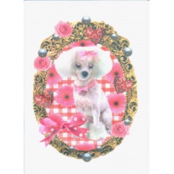 Vasalható folt pudli