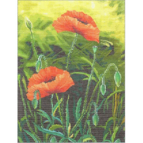 Gobelin 18x24 cm 009 Pipacsok