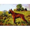 Gobelin 18x25 cm Sz:243 T Boxer