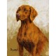 Gobelin 18x25 cm Sz:470 T Magyar vizsla