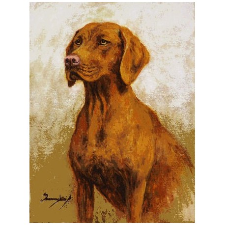 Gobelin 18x25 cm Sz:470 T Magyar vizsla