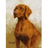 Gobelin 18x25 cm Sz:470 T Magyar vizsla