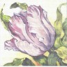Gobelin 10x10 cm 193 T Tulipán