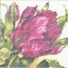 Gobelin 10x10 cm 192 T Tulipán