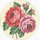 Gobelin 15x15 cm 951 Rózsa