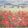 Gobelin 10x10 cm T006 T Pipacsok